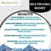 Multiflora Honey - Image 3