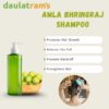 Amla Bhringraj Shampoo - Image 2