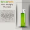 Amla Bhringraj Shampoo - Image 3