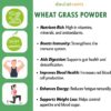 Wheatgrass Powder - Image 3